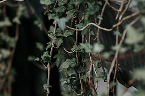 Hotel Crystal Reims Centre