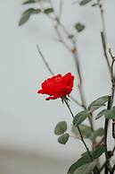 Hotel Crystal Reims Centre