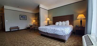 Best Western Plus Emory At Lake Fork Inn & Suites