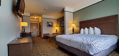 Best Western Plus Emory At Lake Fork Inn & Suites