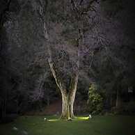 Rincon de los Andes Resort