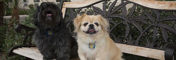 Gateway Studio Suites