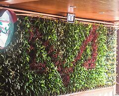 Hotel Ava Malate, Manila