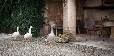 Agroturismo Son Pons