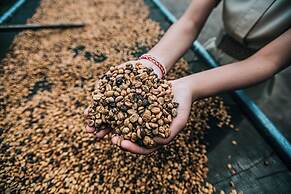 Munduk Moding Plantation Nature Resort