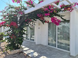 Hotel Club Poseidone Beach Resort