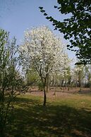 Agriturismo Corte San Girolamo