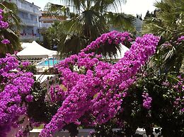 Centro Vacanze Domus Mater Gratiae