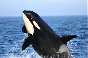 Swinomish Casino & Lodge