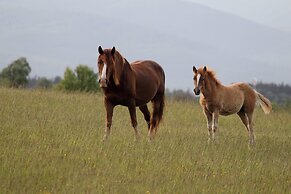 Euphoria Club Hotel & Resort