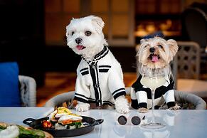 Hotel Indigo Shenzhen Overseas Chinese Town by IHG