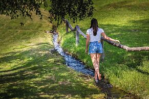 Hotel Vioz - Family Hotel & Apartments