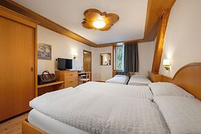 Hotel Vioz - Family Hotel & Apartments