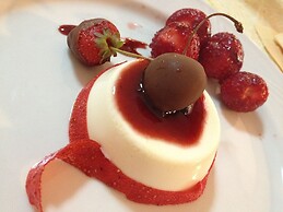 Alp & Wellnes Sport Hotel Panorama