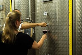 Agriturismo Streda Wine & Country Holiday