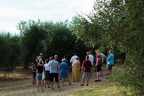 Agriturismo Streda Wine & Country Holiday