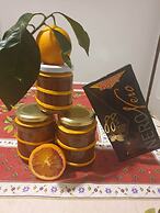 Agriturismo La Collina Verde