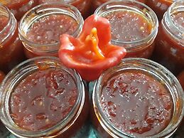 Agriturismo La Collina Verde