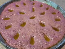 Agriturismo La Collina Verde