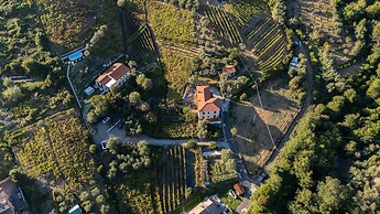 Agriturismo La Collina Verde