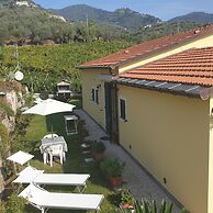 Agriturismo La Collina Verde