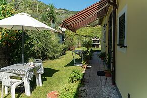 Agriturismo La Collina Verde