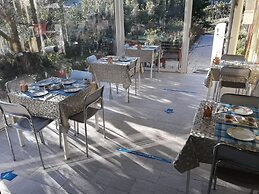 Agriturismo La Collina Verde