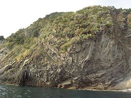 Agriturismo La Collina Verde