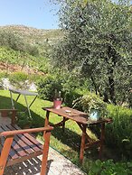 Agriturismo La Collina Verde