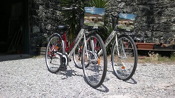 Agriturismo La Collina Verde