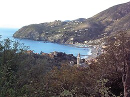 Agriturismo La Collina Verde