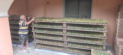 Agriturismo La Collina Verde