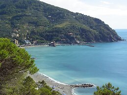 Agriturismo La Collina Verde