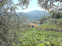 Agriturismo La Collina Verde