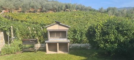 Agriturismo La Collina Verde