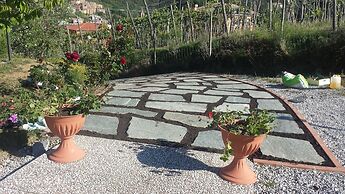 Agriturismo La Collina Verde