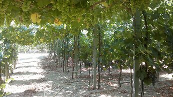 Agriturismo La Collina Verde