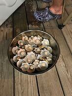 Steinhatchee River Inn