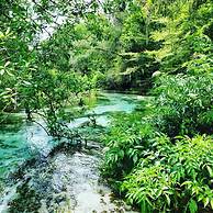 Steinhatchee River Inn