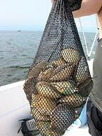 Steinhatchee River Inn