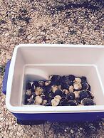 Steinhatchee River Inn