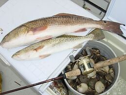 Steinhatchee River Inn