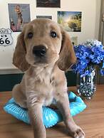 Steinhatchee River Inn