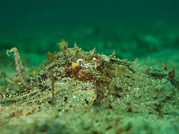 BADLADZ Beach and Dive Resort