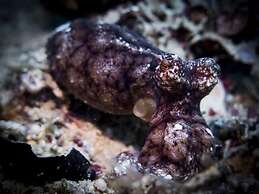 BADLADZ Beach and Dive Resort