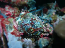 BADLADZ Beach and Dive Resort