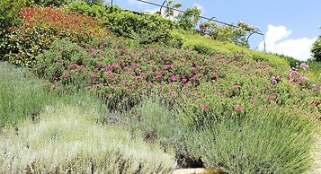 Le Fonti a San Giorgio