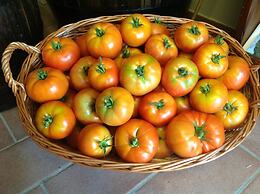 Le Fonti a San Giorgio