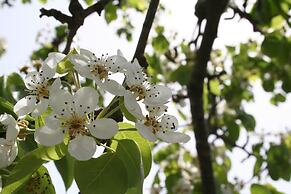 Villa Rocla Guest House Pompei