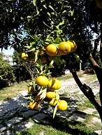 Villa Rocla Guest House Pompei